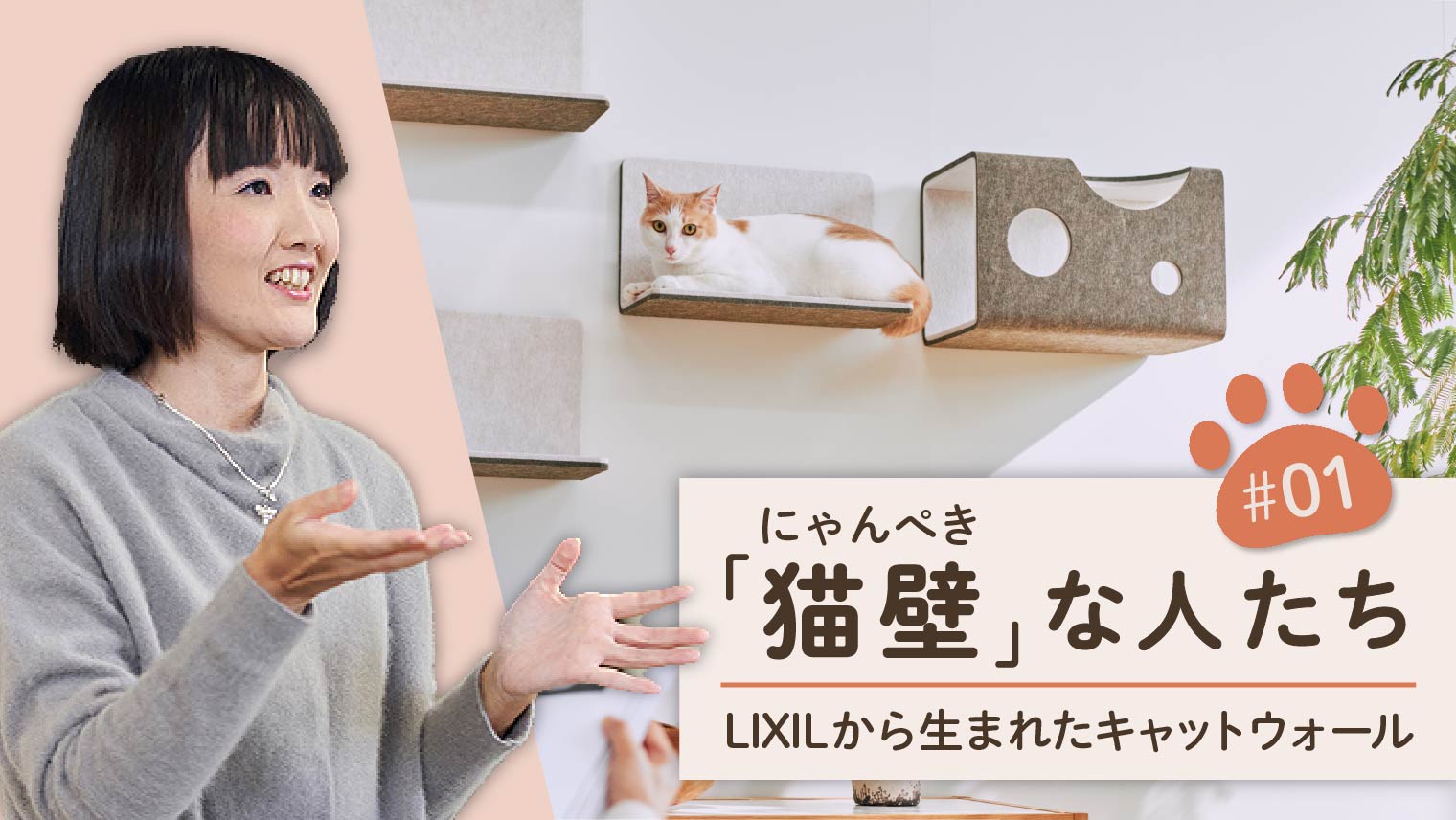 01 プロジェクトリーダーに聞く「猫壁」誕生の裏バナシ | 「猫壁