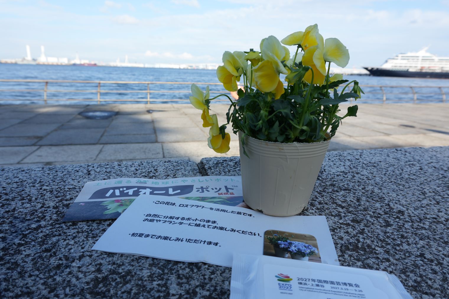 ライブイベントで送られる祝い花